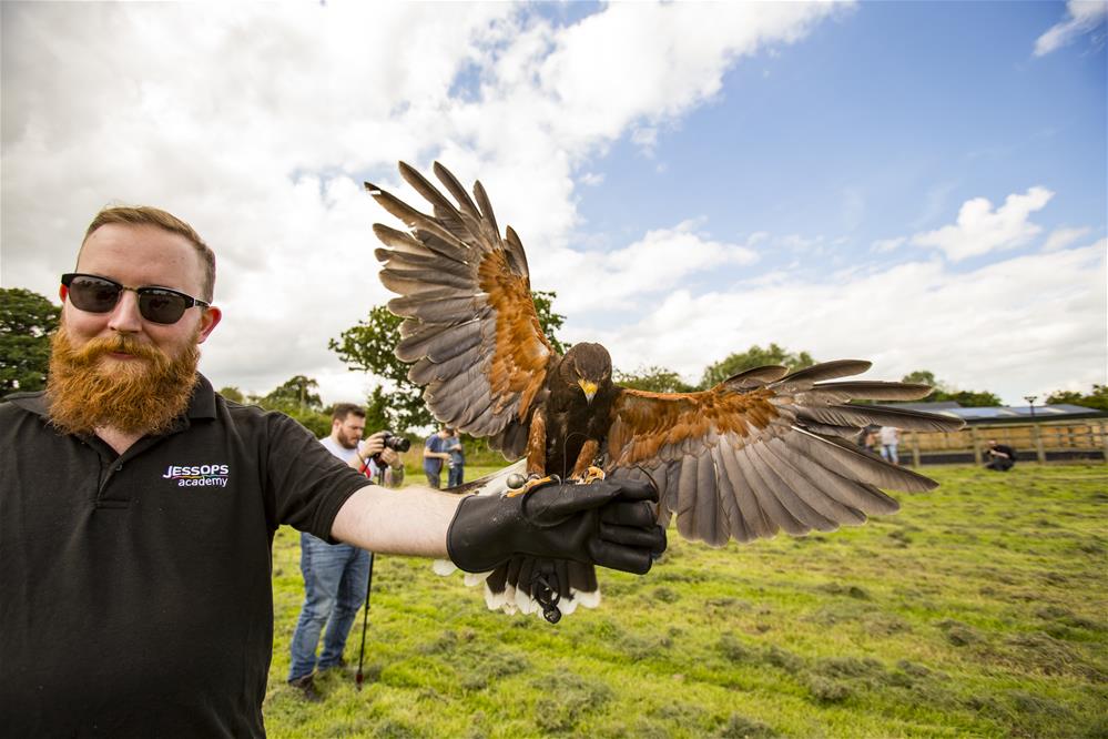 Featured course: Birds of Prey Experience